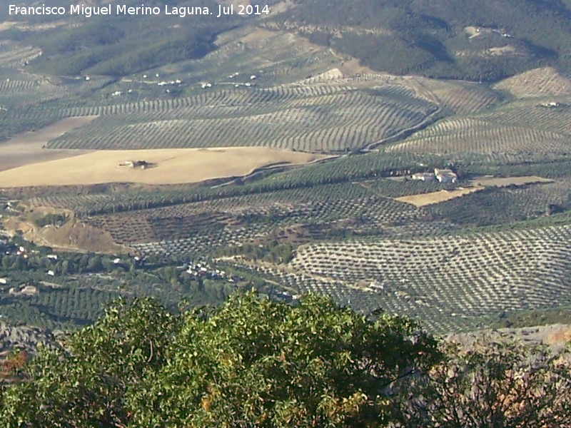 Casería de los Naranjos - Casería de los Naranjos. Con su camino de cipreses, desde el Castillo Calar