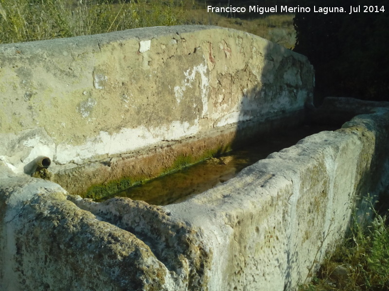 Pilar Fuente del Caño - Pilar Fuente del Caño. 