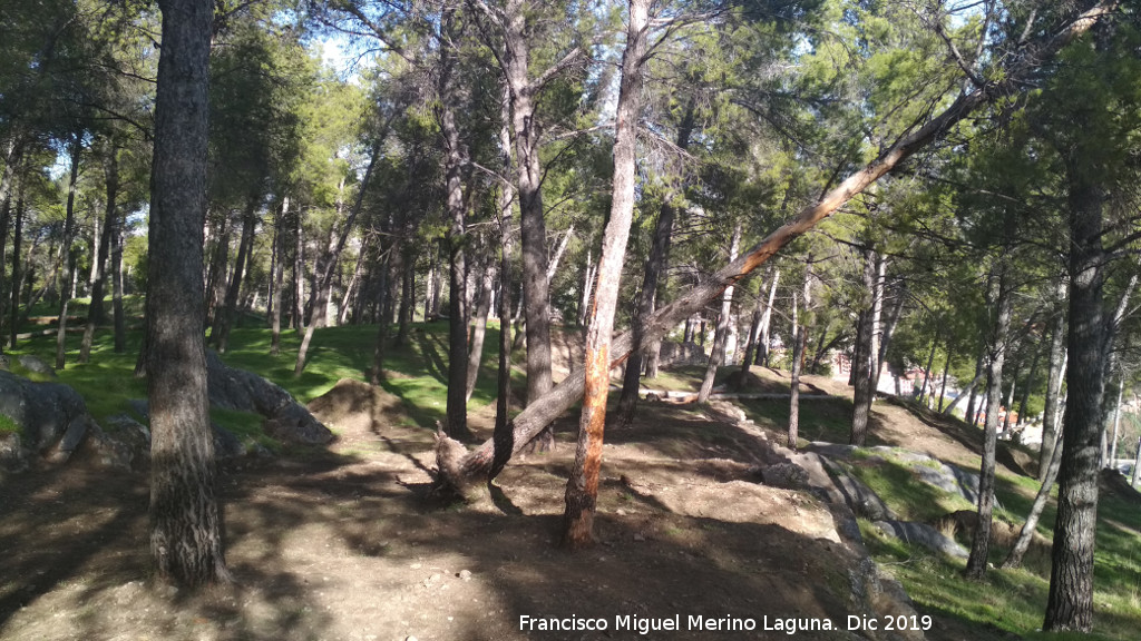 Parque Periurbano de Santa Catalina, Neveral, Imora - Parque Periurbano de Santa Catalina, Neveral, Imora. Ladera norte del Cerro de Santa Catalina