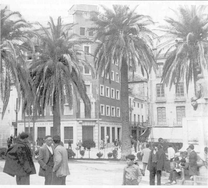 Plaza de la Constitucin - Plaza de la Constitucin. Palmeras