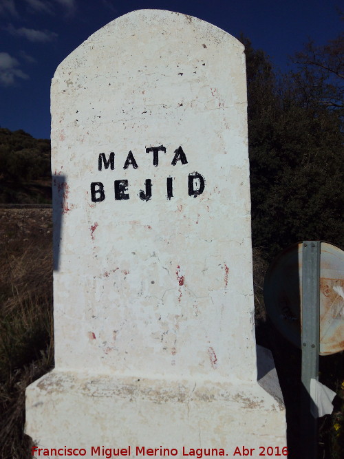 Aldea Mata Bejid - Aldea Mata Bejid. 