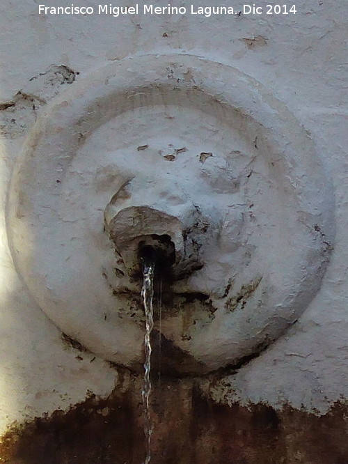 Fuente de los Leones - Fuente de los Leones. León izquierdo
