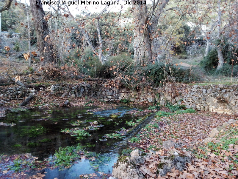 Nacimiento del Río Oviedo - Nacimiento del Río Oviedo. 
