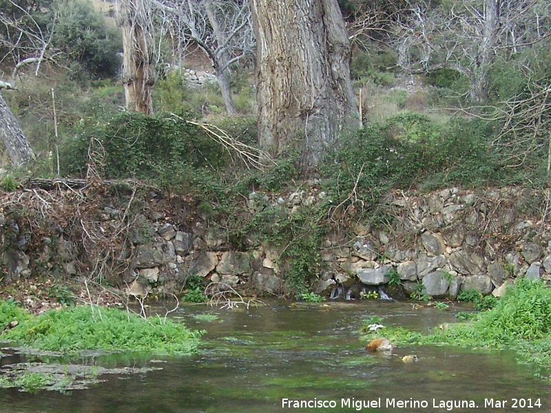 Nacimiento del Río Oviedo - Nacimiento del Río Oviedo. 