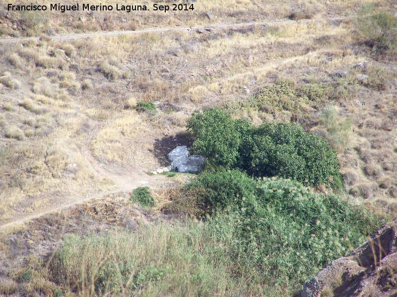 Fuente del Realejo - Fuente del Realejo. 