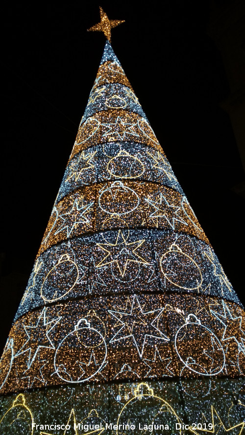 Plaza de Santa Mar�a - Plaza de Santa Mar�a. Navidad