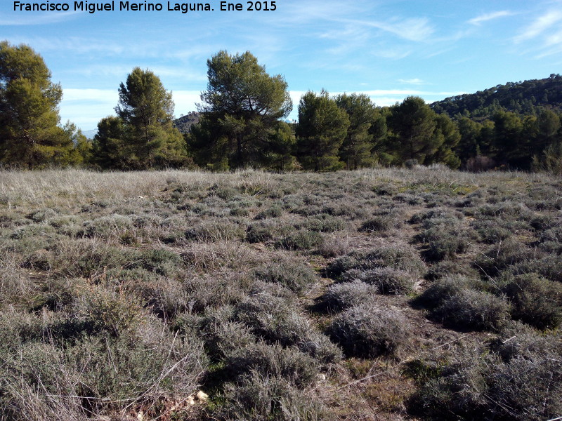 Cuevas Piquita - Cuevas Piquita. Llano donde se encontrarían los corrales