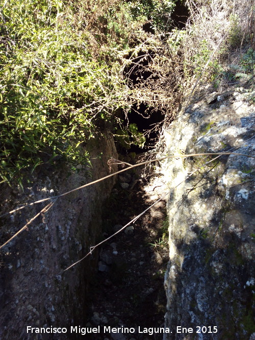 Fuente El Madroño - Fuente El Madroño. 