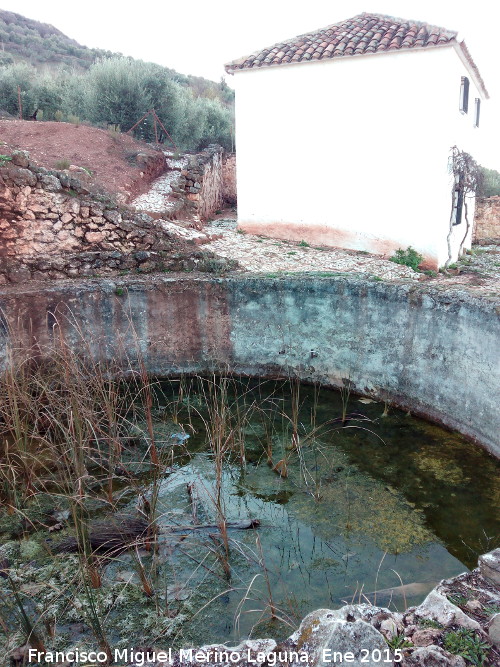 Cortijo Azproz - Cortijo Azproz. Estanque y cortijo