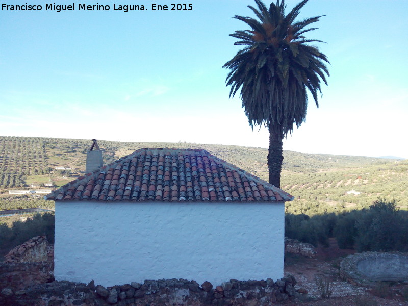 Cortijo Azpíroz - Cortijo Azpíroz. Cortijo con su palmera