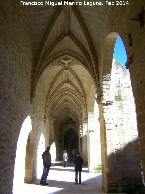 Colegiata de Santa María de los Reales Alcázares. Claustro - Colegiata de Santa María de los Reales Alcázares. Claustro. Galería