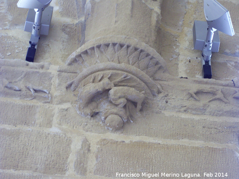 Colegiata de Santa María de los Reales Alcázares. Claustro - Colegiata de Santa María de los Reales Alcázares. Claustro. Cenefa vegetal y ménsula con animales