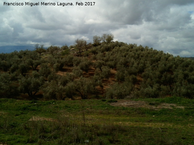 Necrópolis de las Torrecillas - Necrópolis de las Torrecillas. 