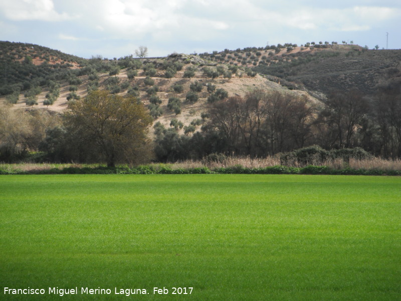 Necrópolis de las Torrecillas - Necrópolis de las Torrecillas. 
