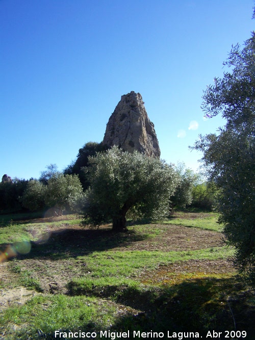 Sierra de Jaén - Sierra de Jaén. Peña entre las olivas