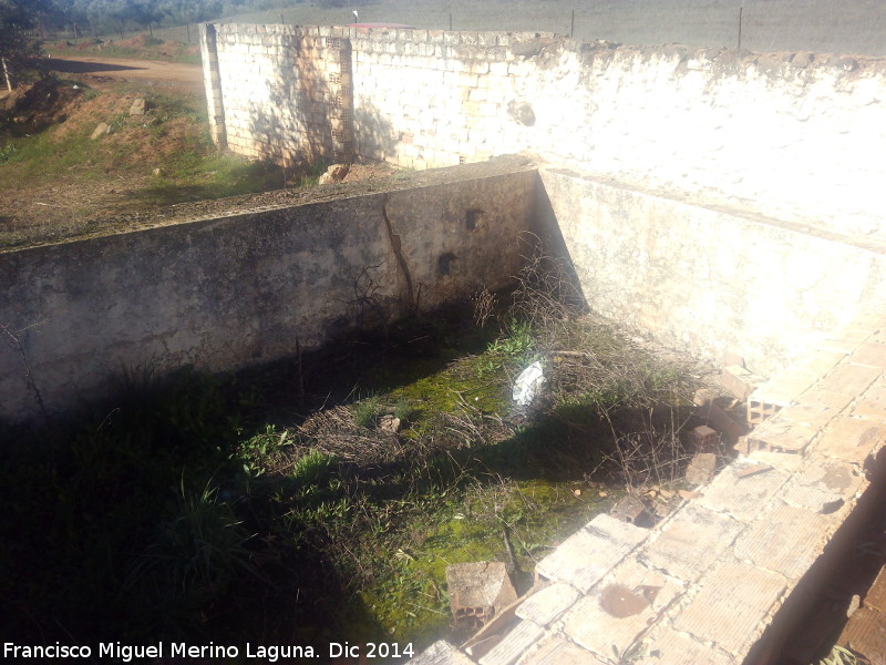 Noria de Domingo El Practicante - Noria de Domingo El Practicante. Alberca