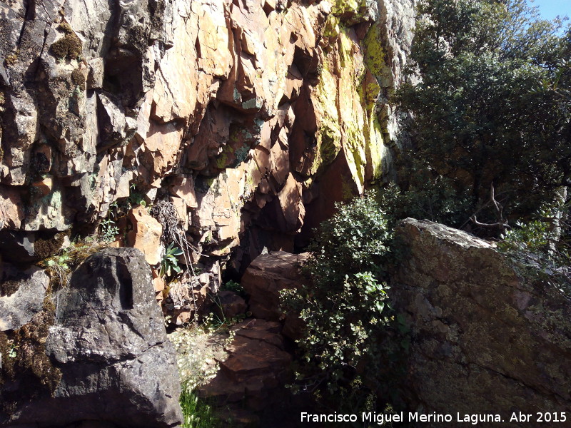 Pinturas rupestres del Abrigo Pequeño de la Cueva del Santo - Pinturas rupestres del Abrigo Pequeño de la Cueva del Santo. Abrigo