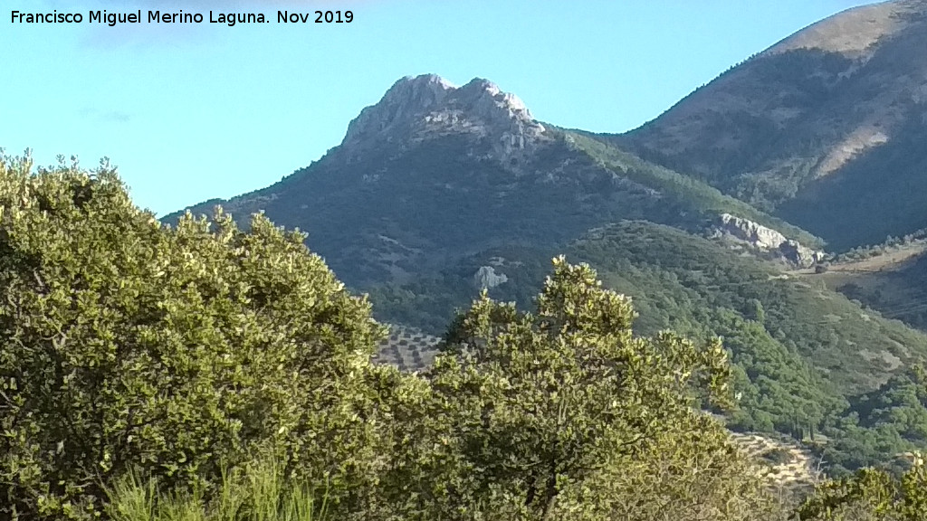 Cresta del Diablo - Cresta del Diablo. Desde el Cerro Miguelico