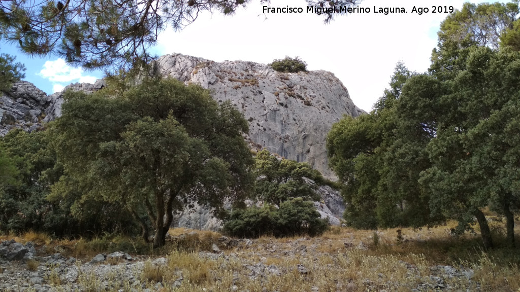 Cresta del Diablo - Cresta del Diablo. Paredes rocosas del oeste ya en trmino de Torredelcampo