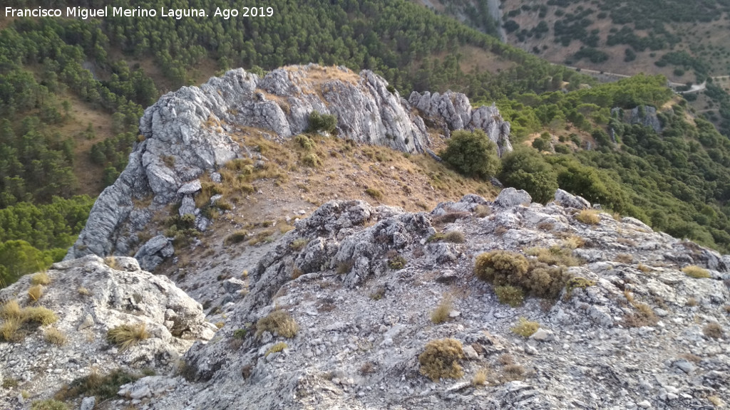 Cresta del Diablo - Cresta del Diablo. Estribacin oeste, ya en trmino de Torredelcampo