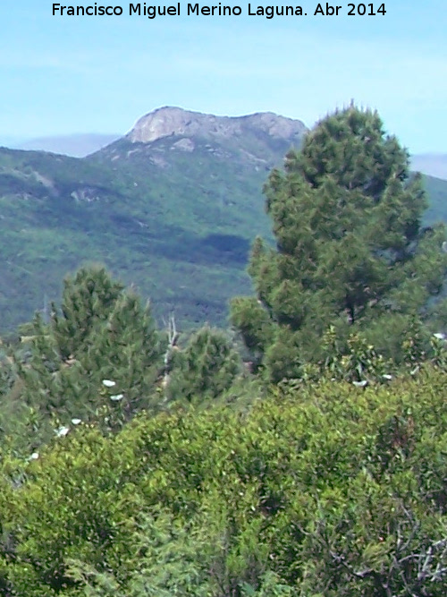 Morra de Peña Rodrigo - Morra de Peña Rodrigo. 