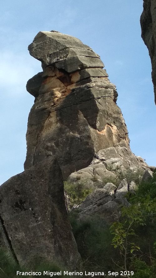 Cerro de la Condesa - Cerro de la Condesa. 