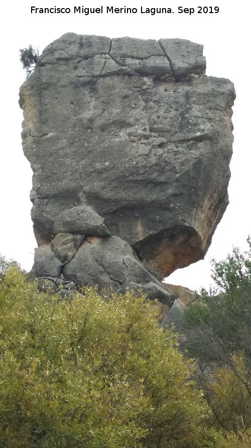 Cerro de la Condesa - Cerro de la Condesa. 