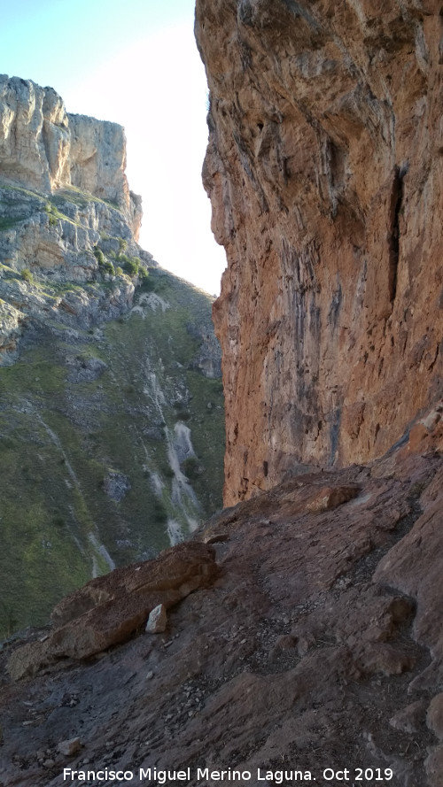 Pinturas rupestres del Abrigo de los Ca�ones IV - Pinturas rupestres del Abrigo de los Ca�ones IV. 