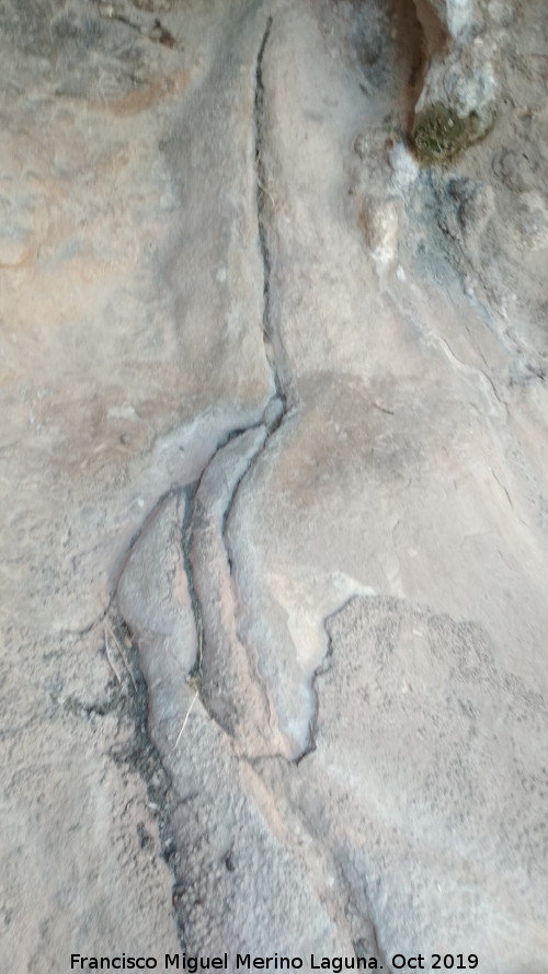 Pinturas rupestres del Abrigo de los Ca�ones IV - Pinturas rupestres del Abrigo de los Ca�ones IV. Canalizaci�n