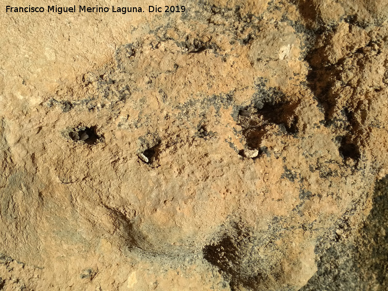 Pinturas rupestres del Abrigo de los Ca�ones IV - Pinturas rupestres del Abrigo de los Ca�ones IV. Cazoletas menores