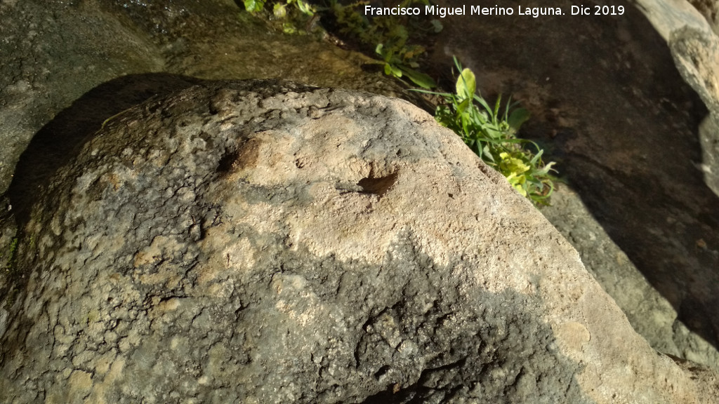 Pinturas rupestres del Abrigo de los Ca�ones IV - Pinturas rupestres del Abrigo de los Ca�ones IV. Una de las cazoletas menores