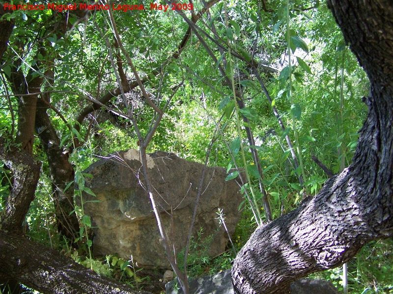Canjorro - Canjorro. Rocas entre la vegetación