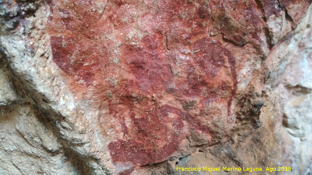 Pinturas rupestres de la Cueva de Río Frío - Pinturas rupestres de la Cueva de Río Frío. Detalle de los bóvidos
