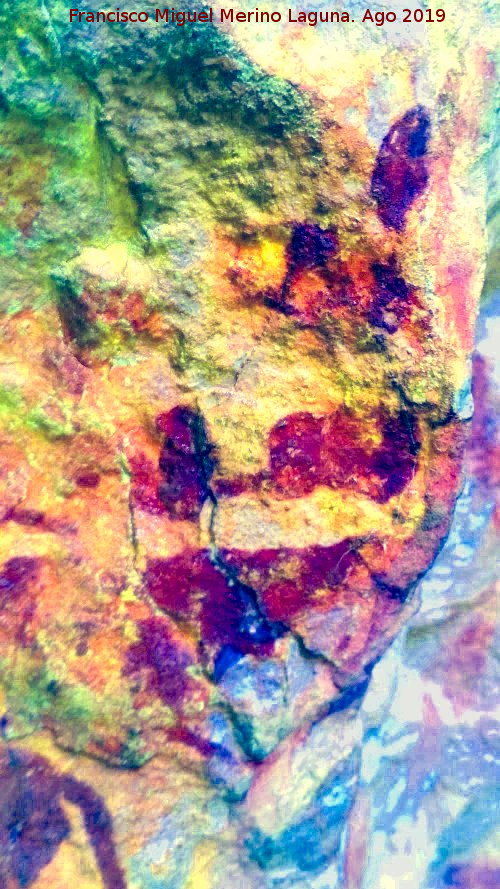 Pinturas rupestres de la Cueva de Río Frío - Pinturas rupestres de la Cueva de Río Frío. Tratada con Dstretch
