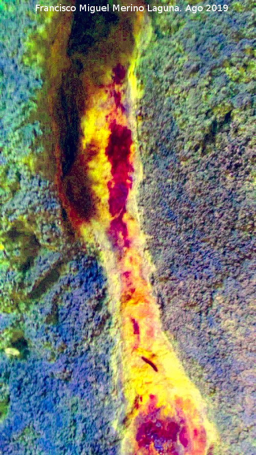 Pinturas rupestres de la Cueva de Río Frío - Pinturas rupestres de la Cueva de Río Frío. Tratada con Dstretch