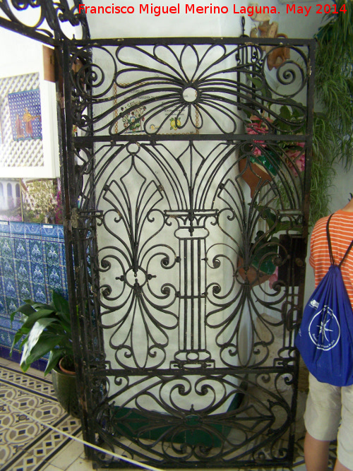 Casa de la Calle Maese Luis nº 22 - Casa de la Calle Maese Luis nº 22. Reja