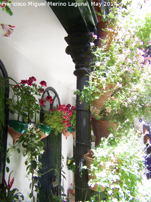 Casa de la Calle Maese Luis n 22 - Casa de la Calle Maese Luis n 22. Columna de hierro