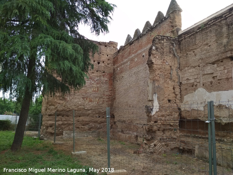 Muralla de la Calle Fernando de Lara - Muralla de la Calle Fernando de Lara. Lienzo almenado junto al Torreón de San Antonio de Padua