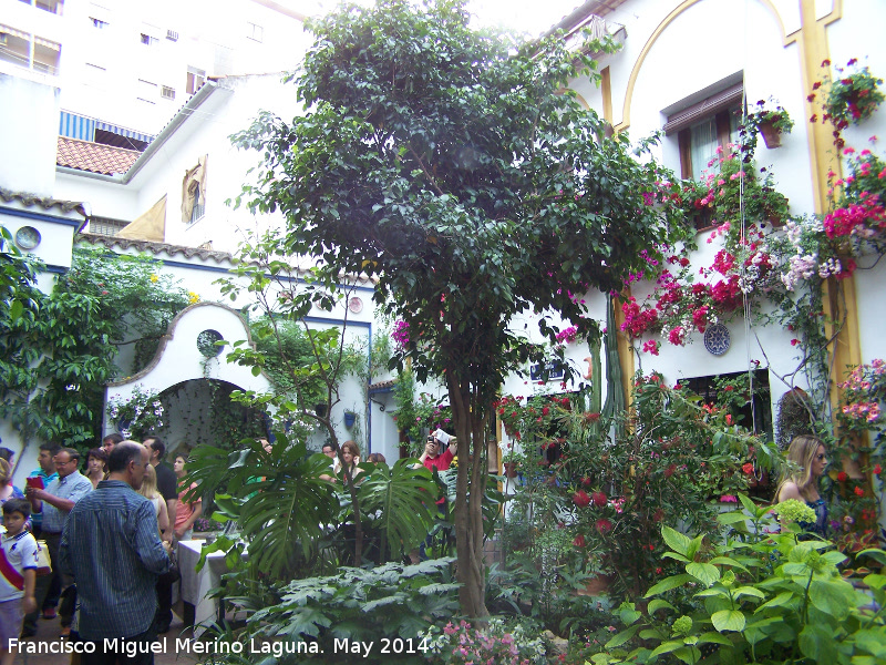 Casa de la Calle Chaparro n 3 - Casa de la Calle Chaparro n 3. Patio