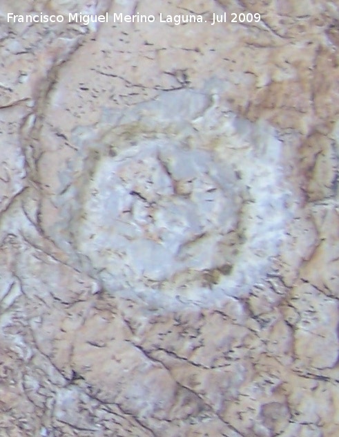 Pinturas y petroglifos rupestres de la Llana II - Pinturas y petroglifos rupestres de la Llana II. Petroglifo muy marcado en forma de círculo del abrigo