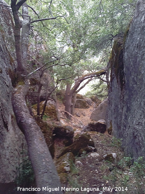 Cueva del Yedrón - Cueva del Yedrón. Pasillo rocoso