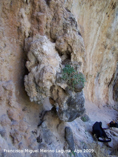 Poyo Bernabé - Poyo Bernabé. Formación de piedra del abrigo de la derecha que se asemeja a la cabeza de un dragón