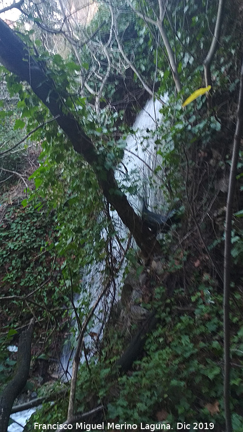 Cascada de los Ba�os de Jabalcuz - Cascada de los Ba�os de Jabalcuz. 