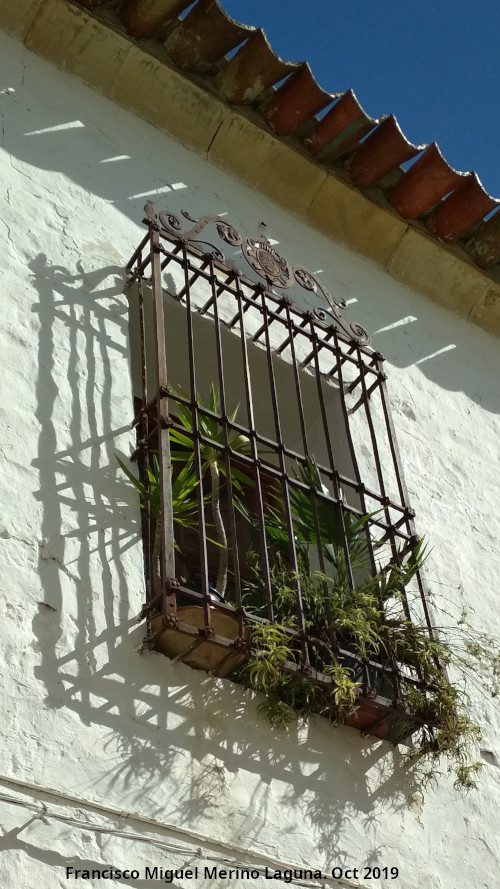 Rejera de rosetas - Rejera de rosetas. Calle Gins Gmez - beda