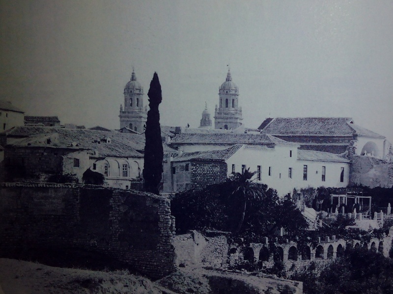 Casa de la Calle Carrera de Jesús nº 41 - Casa de la Calle Carrera de Jesús nº 41. 1862. Jardines traseros y el Acueducto del Carmen