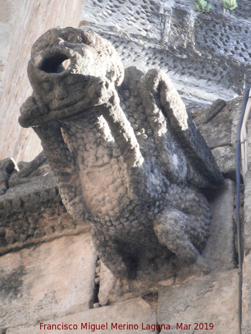 Gárgola - Gárgola. San Isidoro - Úbeda