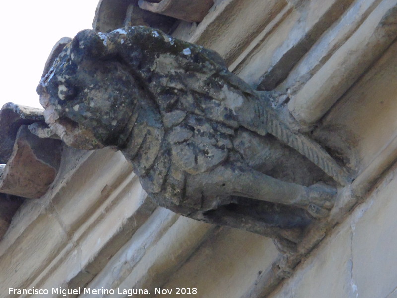 Grgola - Grgola. Palacio de los Salcedo - Baeza