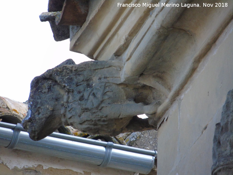 Gárgola - Gárgola. Palacio de los Salcedo - Baeza