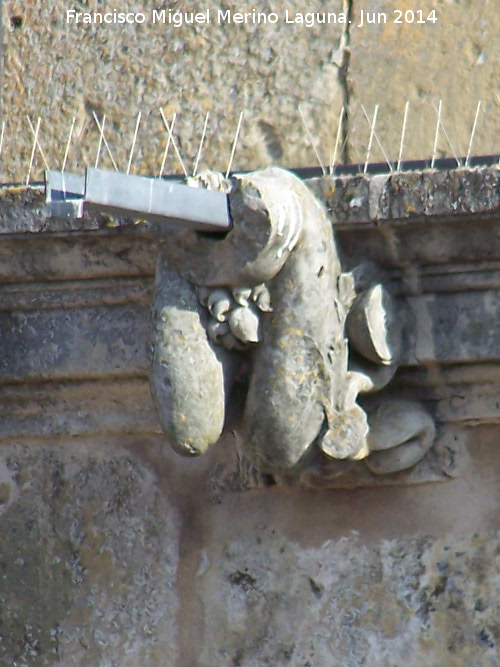 Castillo de Sabiote. Patio de Armas - Castillo de Sabiote. Patio de Armas. Gárgola