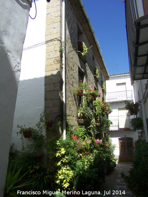 Casa de la Calle Cruz nº 11 - Casa de la Calle Cruz nº 11. 
